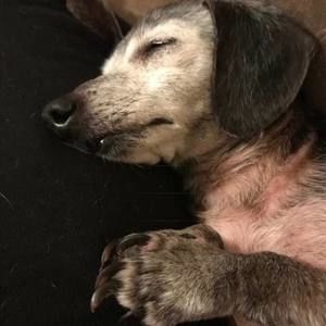 Meet your Posher, Laurel